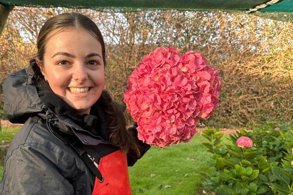 image of Top Accolade for Young Tauranga Flower Grower